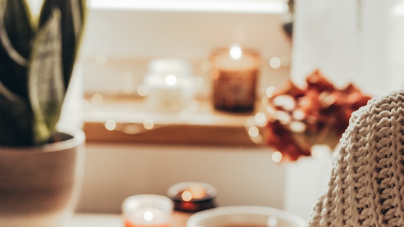 homeとhouseの違いとは？使い分けと例文でやさしく理解