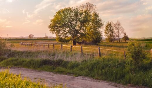 ruralとcountrysideの違いは？意味と使い分けを例文で確認