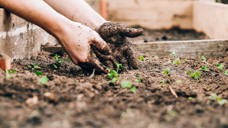 gardenとyardの違いは?英米の使い分けも紹介