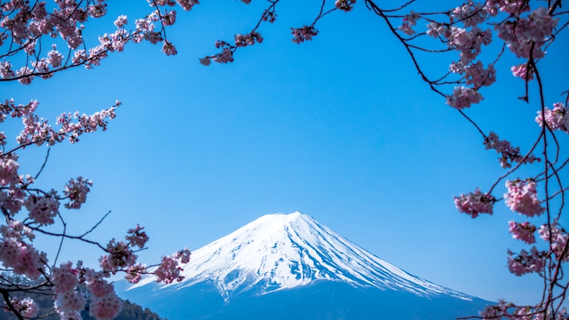 gardenとyardの違いは?英米の使い分けも紹介