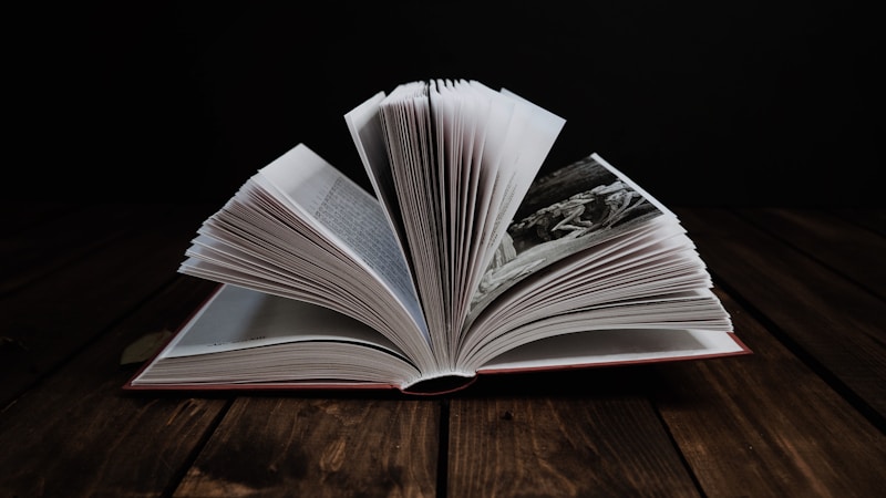 ミステリとミステリーの違いをやさしく整理読書選びに役立つ見分け方