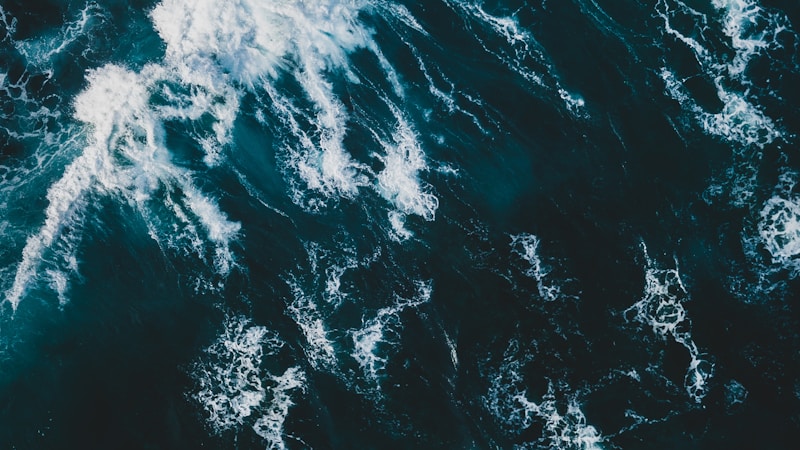 seaとoceanの違いは？使い分けと身近な英語表現までわかる