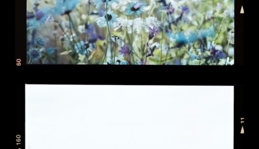 pictureとphotoの違いは？使い分けと関連語までわかる